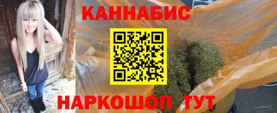 индика Тула
