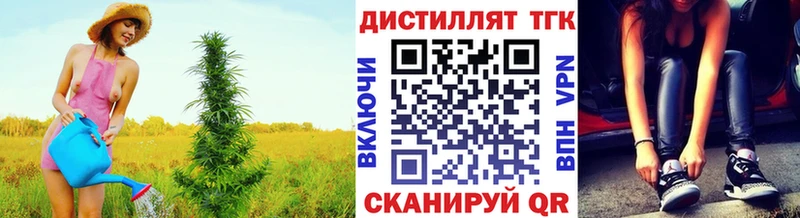 цена   Рассказово  Дистиллят ТГК THC oil 