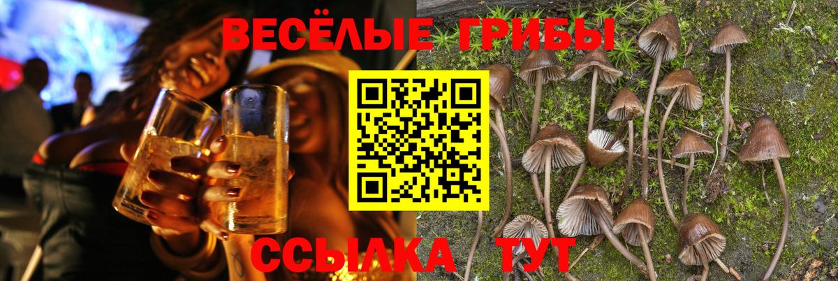 Галлюциногенные грибы ЛСД  Вход с VPN  Псилоцибиновые грибы мицелий  Рассказово 